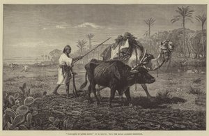 Pløjning i Nedre Egypten